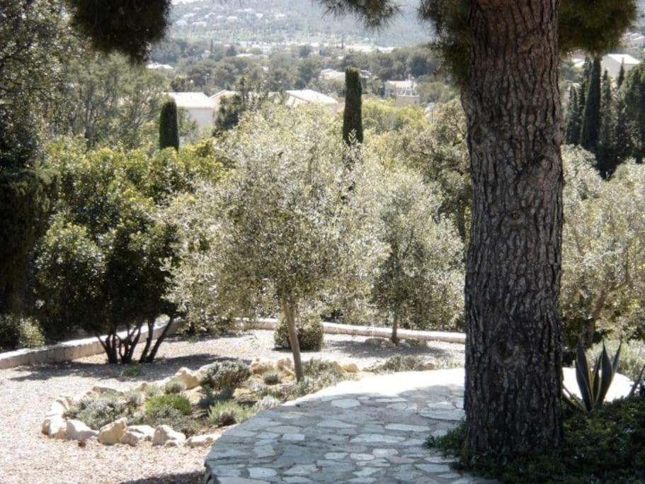 Villa La Crespina Saint Aygulf Exteriör bild